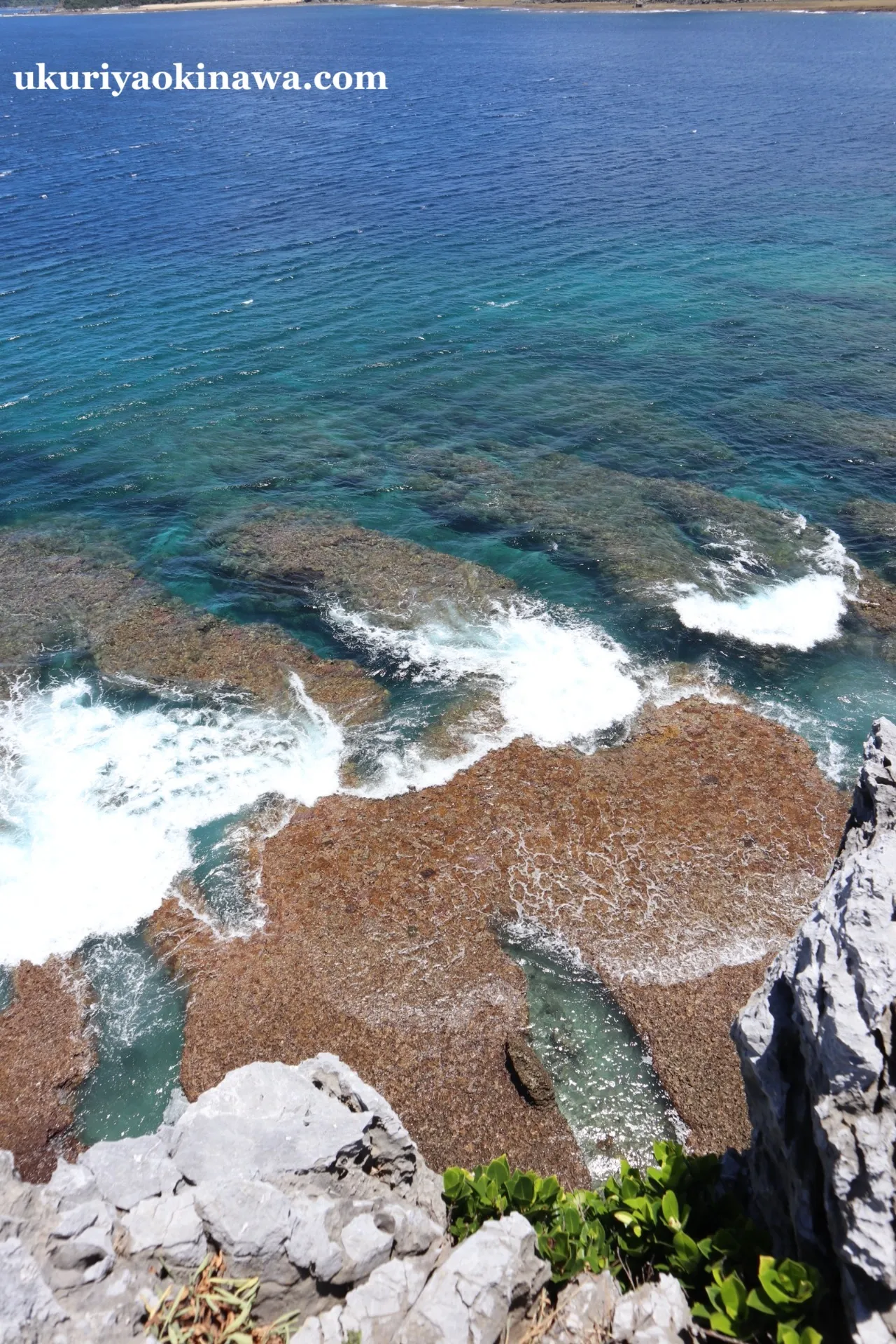 沖縄の風景